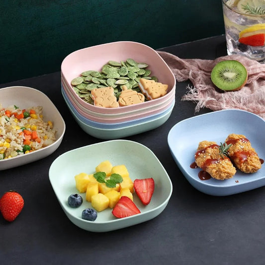 Dish Plate Set with Holders for your dining setup with Colorful, Unbreakable Plates